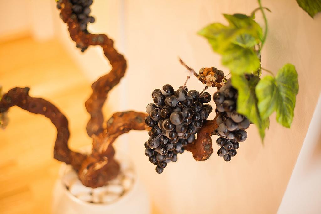 Apartamento Vineyard Of Šibenik Habitación foto